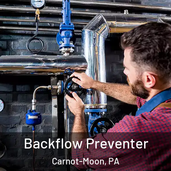  Backflow Preventer Carnot-Moon, PA