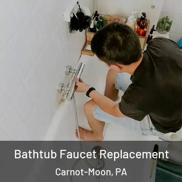  Bathtub Faucet Replacement Carnot-Moon, PA