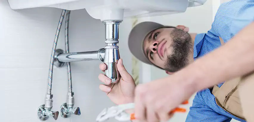 Leak Detection in Carnot-Moon