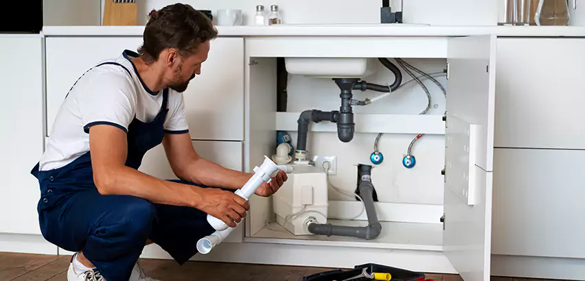 Plumbers for Frozen Pipes in Carnot-Moon