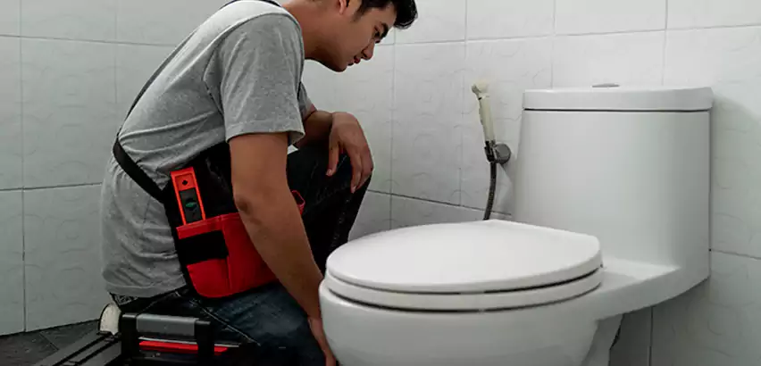 Toilet Repair in Carnot-Moon