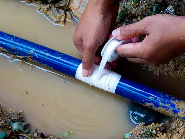  Why Choose Carnot Moon Plumbing Pro for Leak Detection in Carnot-Moon, PA?]