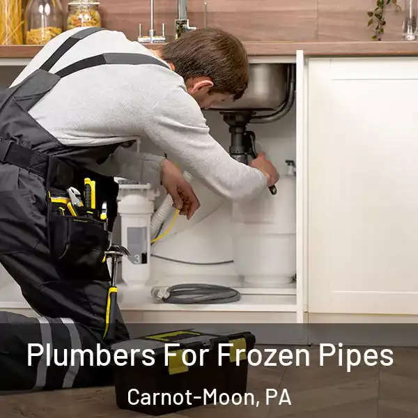  Plumbers For Frozen Pipes Carnot-Moon, PA