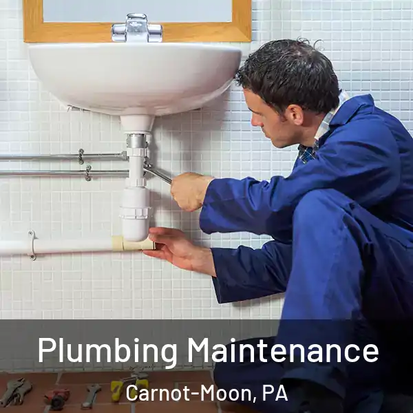  Plumbing Maintenance Carnot-Moon, PA
