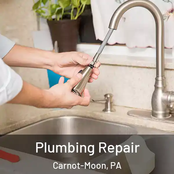  Plumbing Repair Carnot-Moon, PA