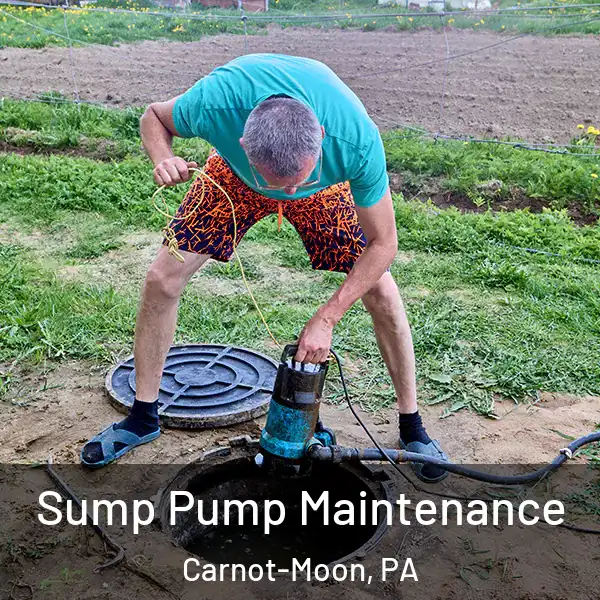  Sump Pump Maintenance Carnot-Moon, PA