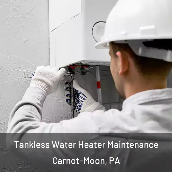  Tankless Water Heater Maintenance Carnot-Moon, PA