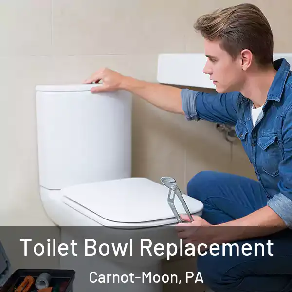  Toilet Bowl Replacement Carnot-Moon, PA