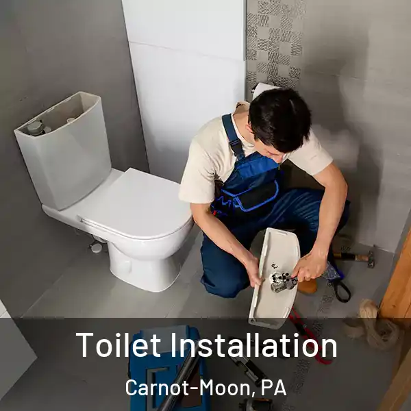  Toilet Installation Carnot-Moon, PA