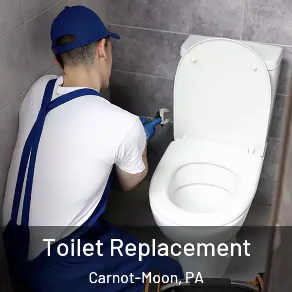  Toilet Replacement Carnot-Moon, PA