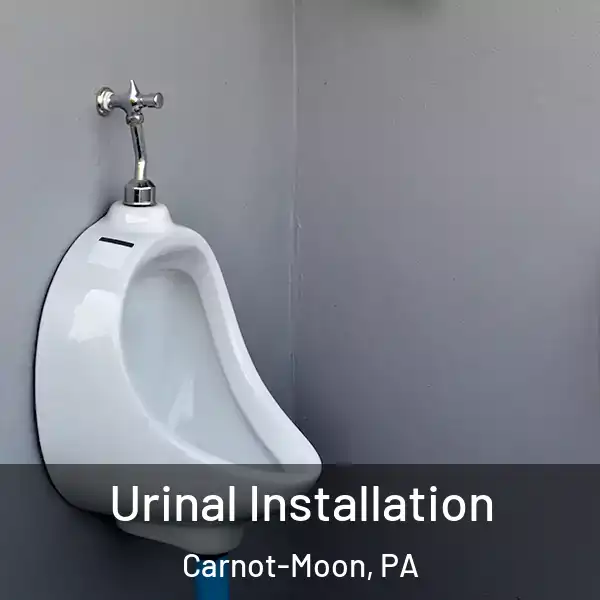  Urinal Installation Carnot-Moon, PA