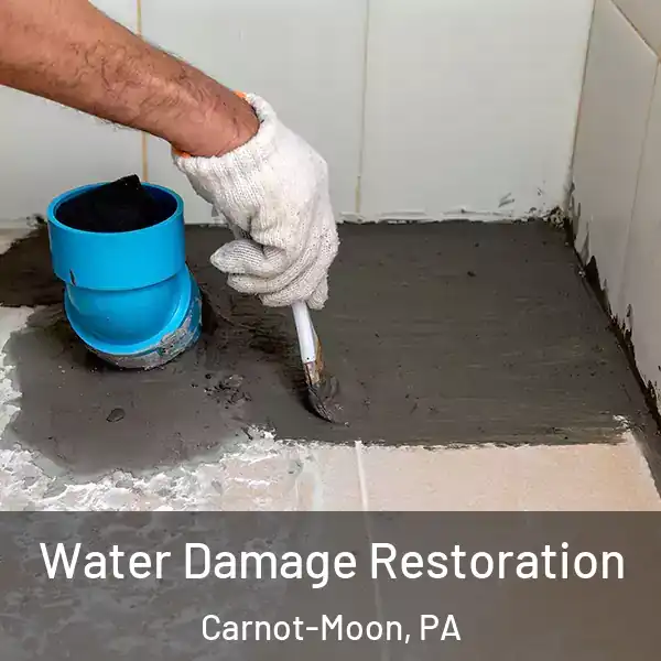  Water Damage Restoration Carnot-Moon, PA