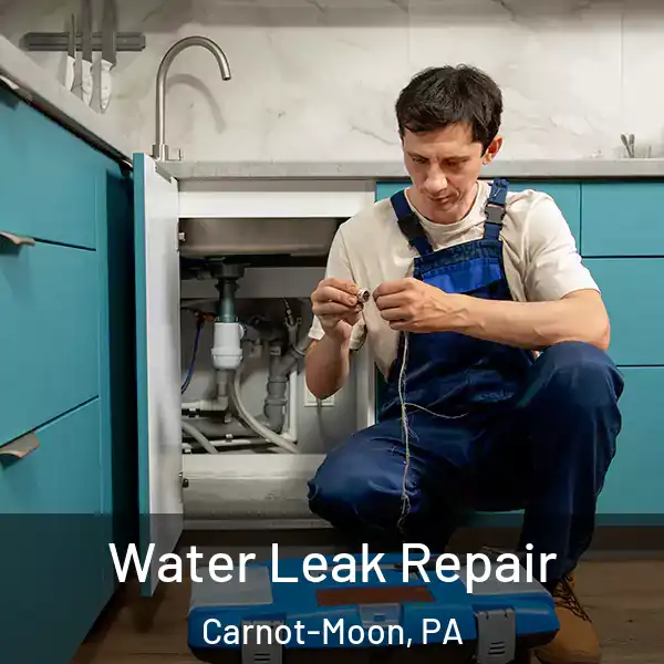  Water Leak Repair Carnot-Moon, PA